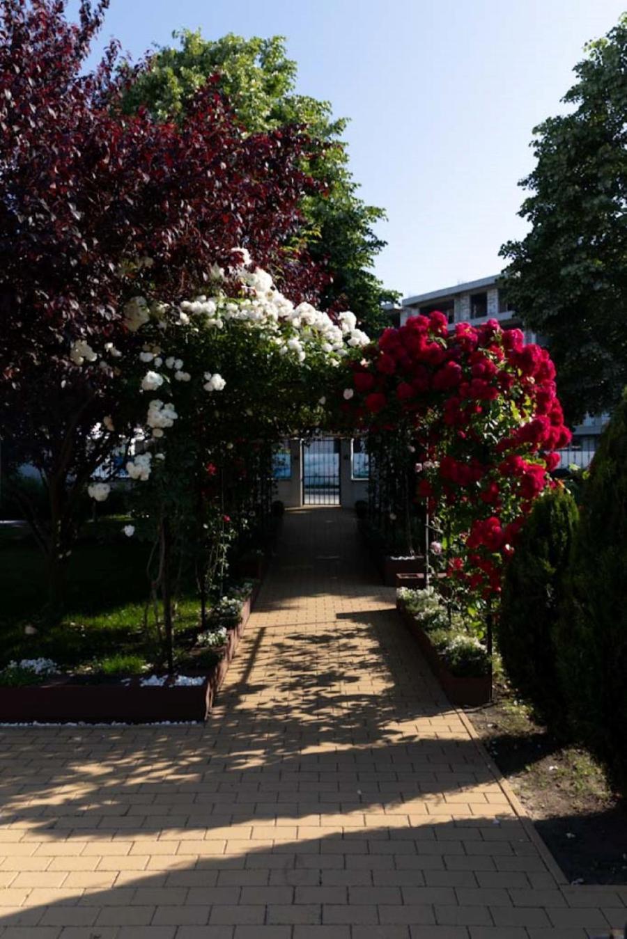 Hotel Anca Saturn Zewnętrze zdjęcie
