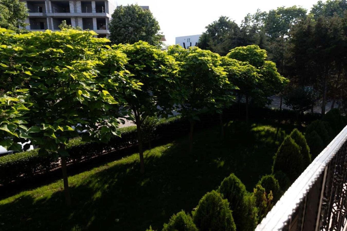 Hotel Anca Saturn Zewnętrze zdjęcie